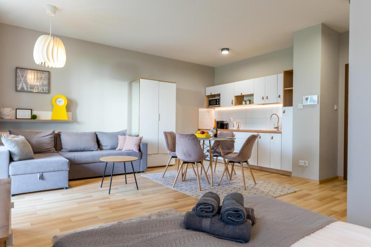 Marina Apartment - Przy Jeziorze, Taras, Tv55" Z Netflix I Prime, Parking Iława Buitenkant foto